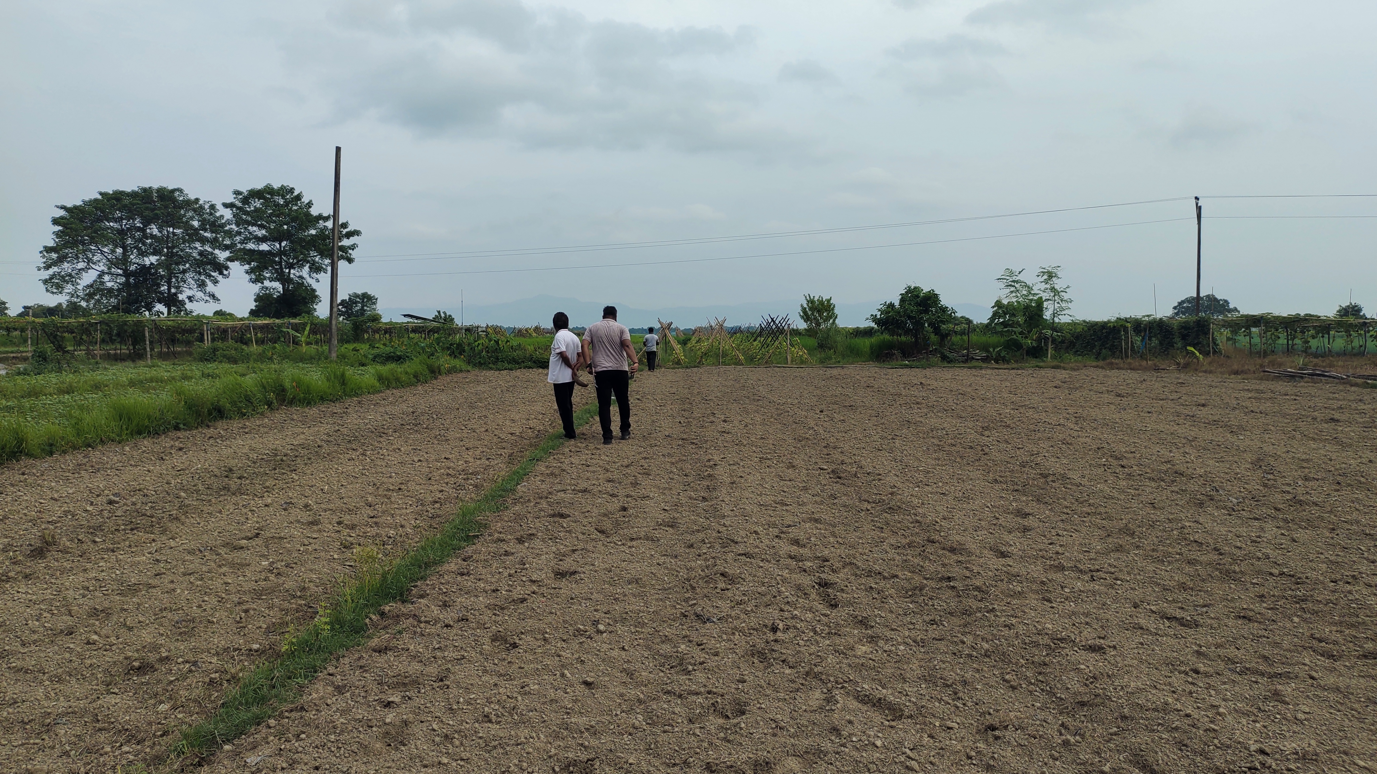Team walking across prepared agricultural land