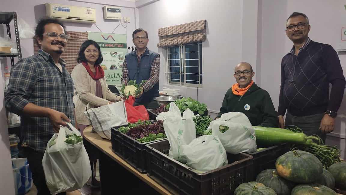Team with harvested vegetables at the office